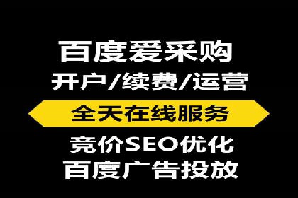某电商平台的SEM推广实践与效果展示